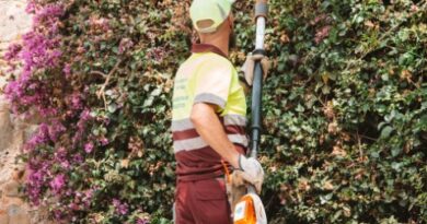 How Landscape Maintenance Keeps Outdoor Spaces Looking Intentional