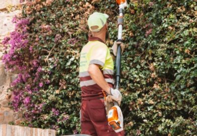 How Landscape Maintenance Keeps Outdoor Spaces Looking Intentional